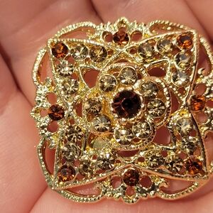 Elegant Gold and Brown Brooch